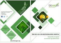 Lorem ipsum dolor sit amet, consectetur adipiscing elit.