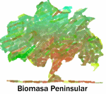 BIOMASA PENINSULAR