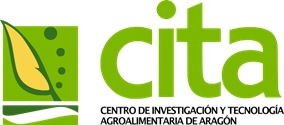 CITA