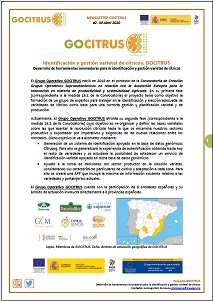 NEWSLETTER GOCITRUS #2