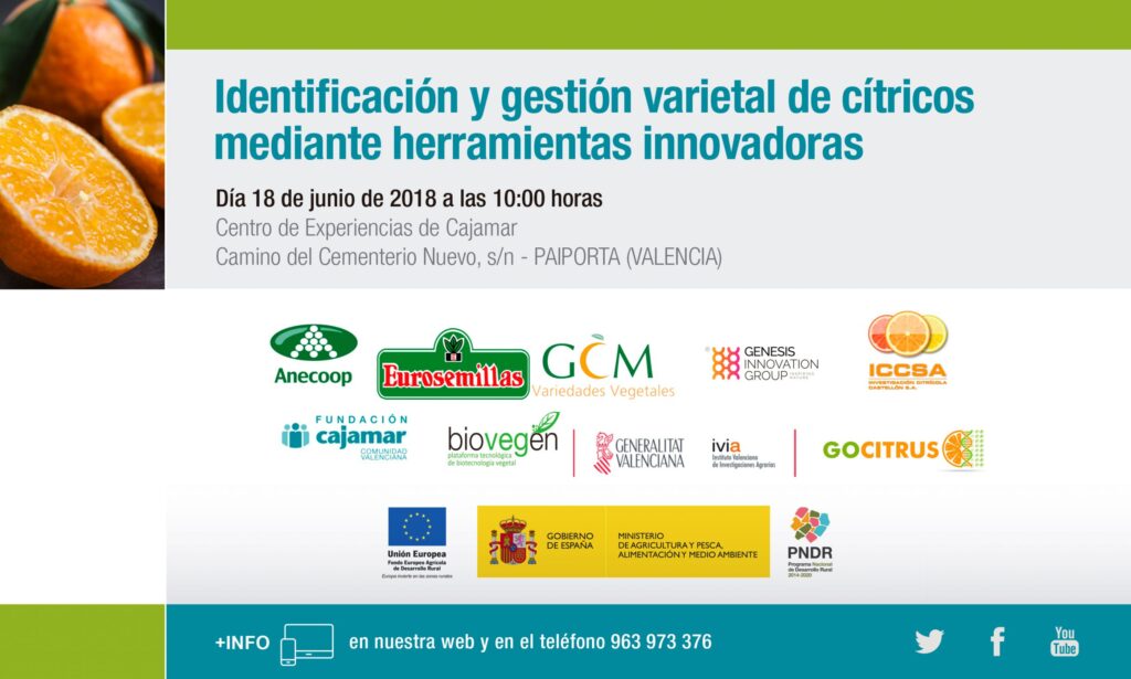 Celebrada la Jornada de lanzamiento de GOCITRUS