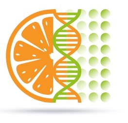 Aprobación de las modificaciones de GOCITRUS y justificación del primer periodo de ejecución del proyecto innovador
