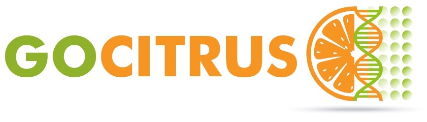 Nueva reunión del proyecto GOCITRUS