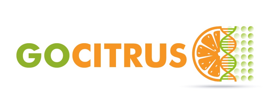 Aprobación provisional del Grupo Operativo GOCITRUS