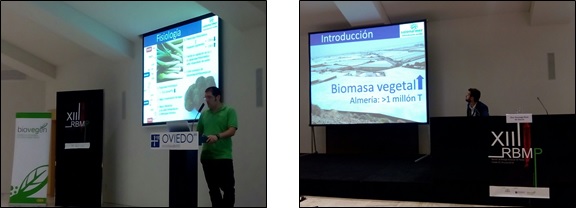 BIOVEGEN celebra la sesión “Empresas agroalimentarias con intereses en I+D” durante la XIII Reunión de Biología Molecular de Plantas