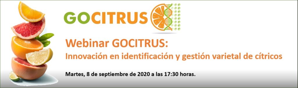 Gocitrus tendrá en 2021 marcadores de ADN para identificar sin posible error a un 25% de las variedades de mandarinas