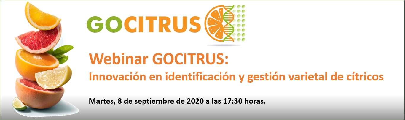 Gocitrus tendrá en 2021 marcadores de ADN para identificar sin posible error a un 25% de las variedades de mandarinas