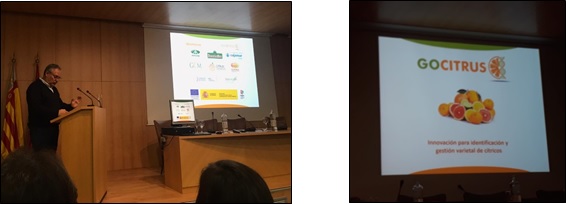 Presentación del Grupo Operativo GOCITRUS en la Jornada Internacional de Mejora Genética de Cítricos