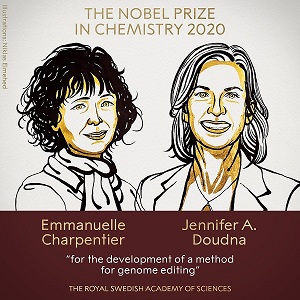 Emmanuelle Charpentier y Jennifer Doudna ganan el Premio Nobel de Química 2020