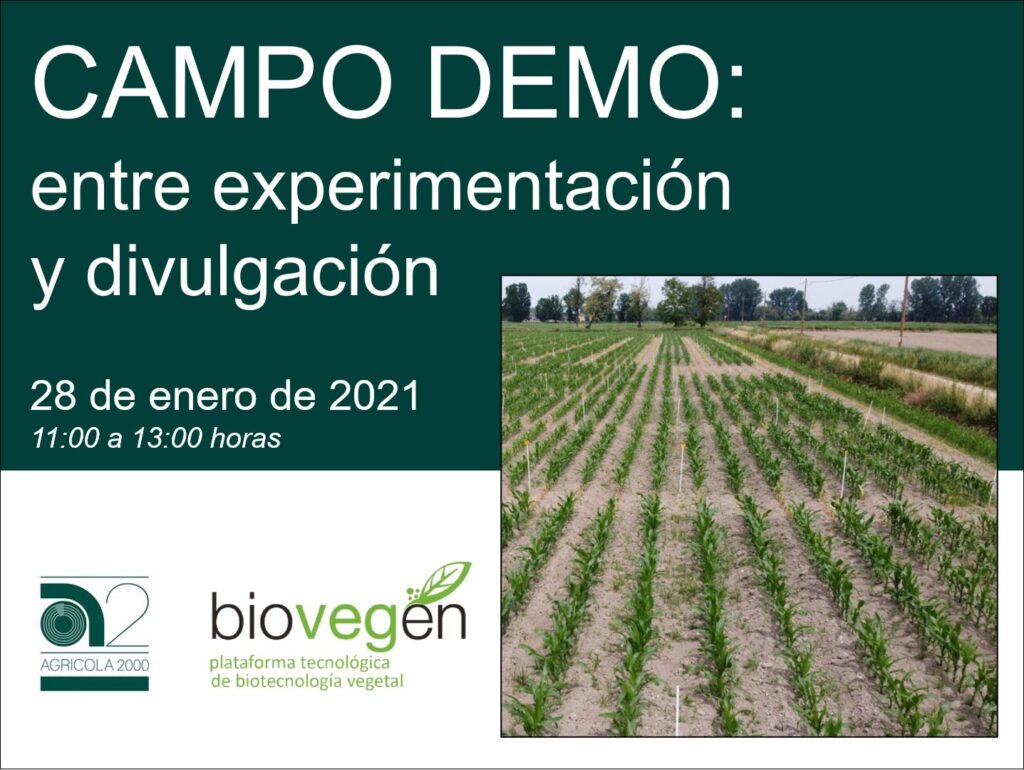 CAMPO DEMO: entre experimentación y divulgación