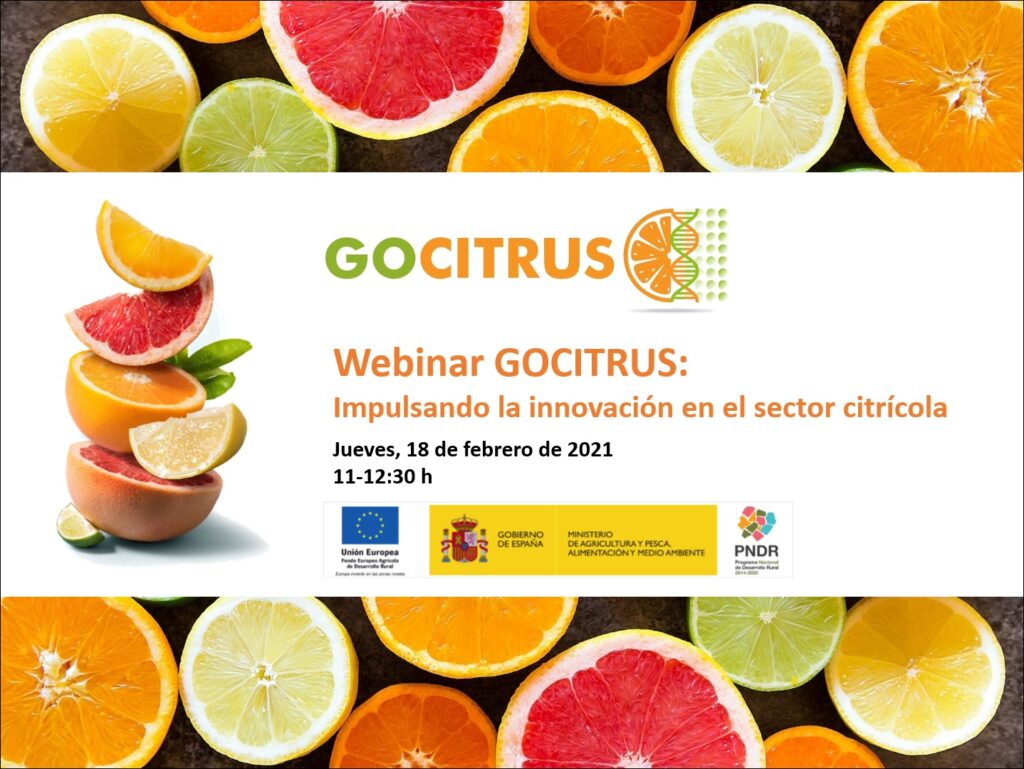 WEBINAR GOCITRUS: Impulsando la innovación en el sector citrícola