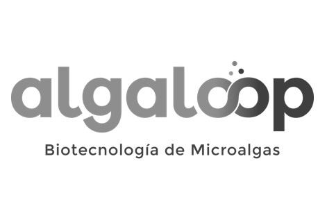 ALGALOOP