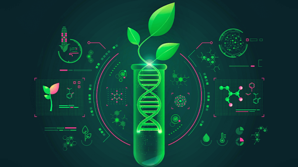 Nuevas herramientas de mejora genética en vegetales