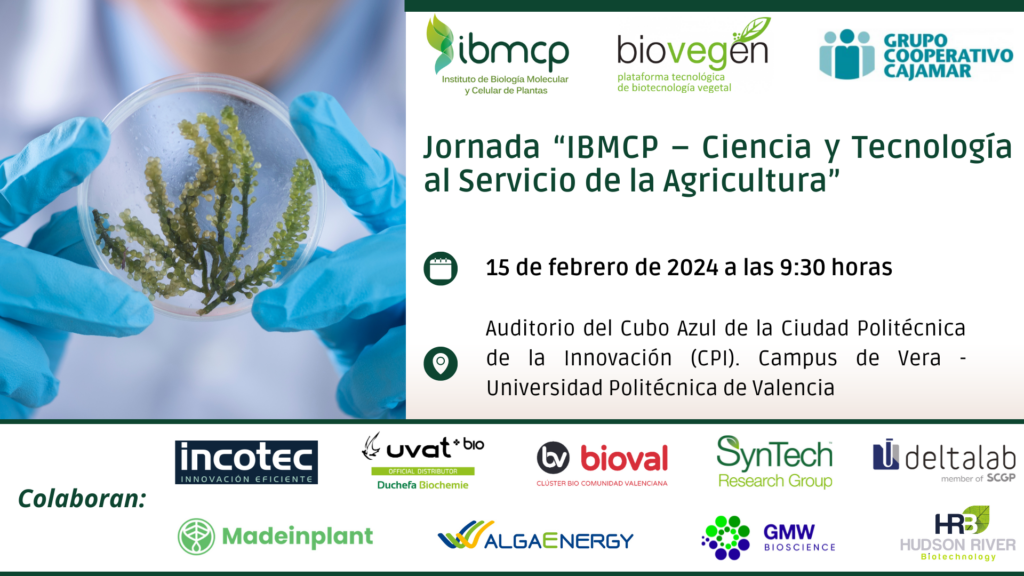 El futuro ya está aquí: cultivos más nutritivos, resistentes a enfermedades o mejor adaptados a la sequía