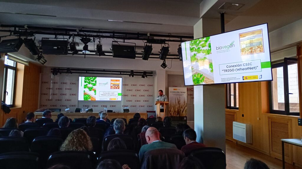 BIOVEGEN participa en el Kick-off meeting de la Conexión Trigo (WheatNet) del CSIC