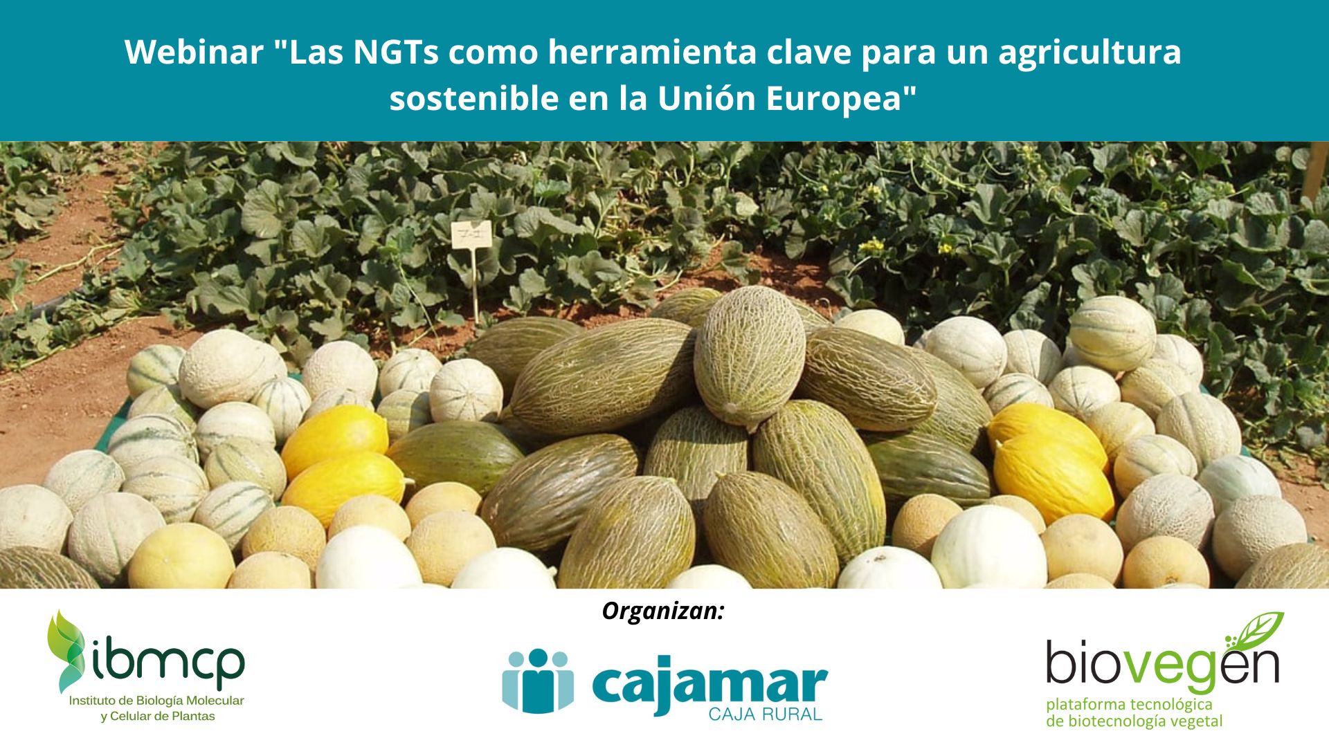 Webinar «Las NGTs como herramienta clave para una agricultura sostenible en la Unión Europea»