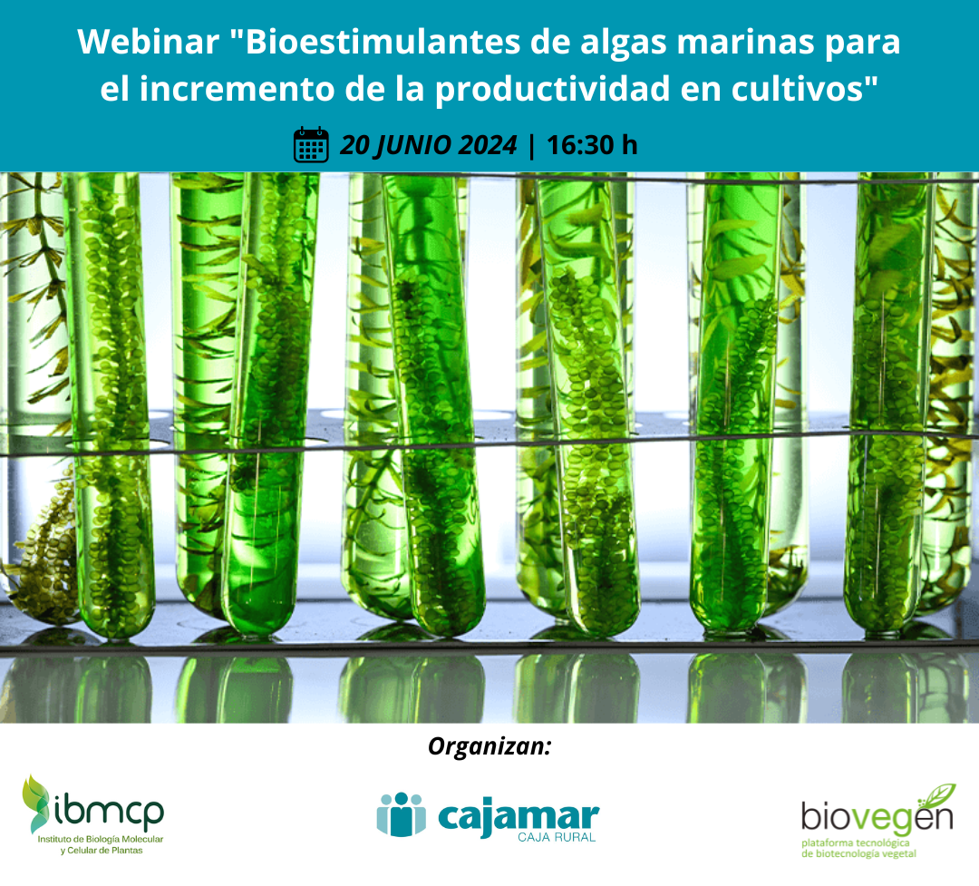 Webinar «Bioestimulantes de algas marinas para el incremento de la productividad en cultivos»