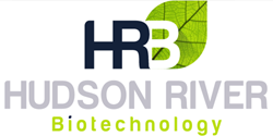 HUDSON RIVER TECHNOLOGY (HRB)