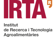 IRTA