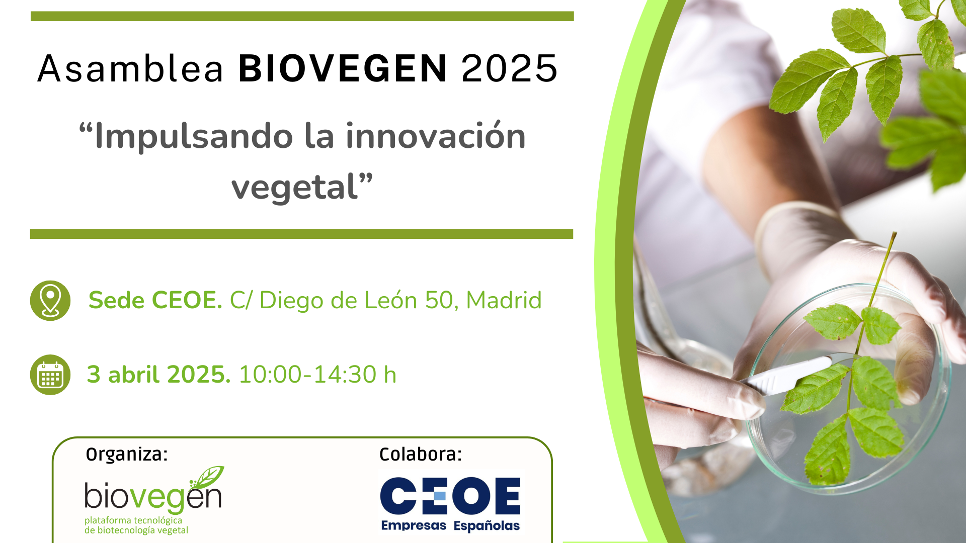Asamblea BIOVEGEN 2025 «Impulsando la innovación vegetal»