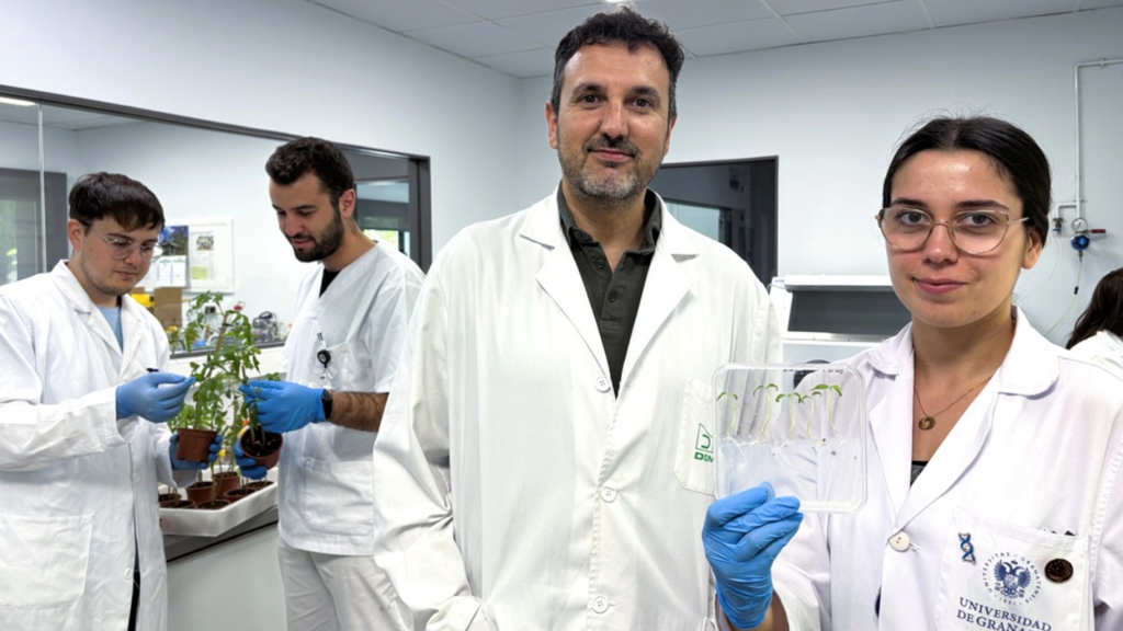Proyecto NATURSMOKE: protección poscosecha sin residuos para un sector agroalimentario sostenible