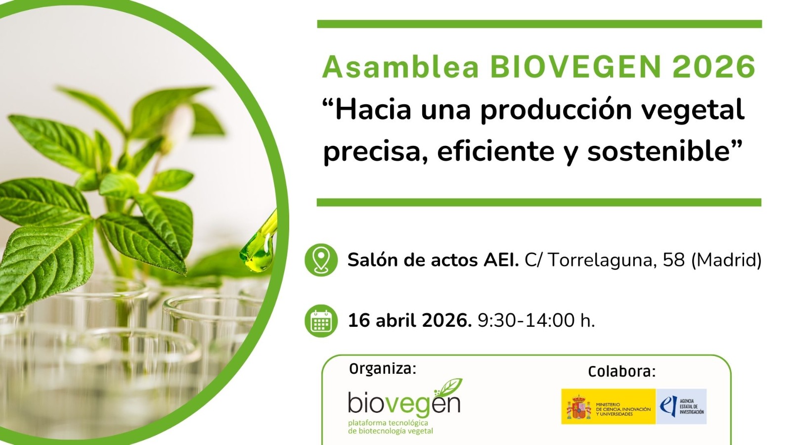 Asamblea BIOVEGEN 2026 «Hacia una producción vegetal precisa, eficiente y sostenible»